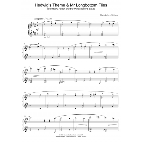 HEDWIG'S THEME & MR LONGBOTTOM FLIES