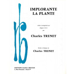 IMPLORANTE LA PLANTE