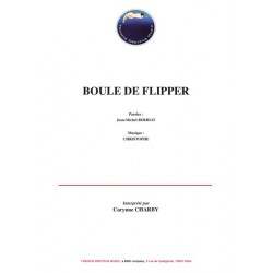 BOULE DE FLIPPER