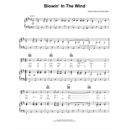 BLOWIN' IN THE WIND