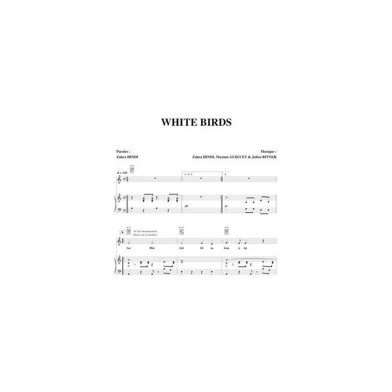 Partition WHITE BIRDS Hindi ZAHRA
