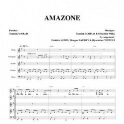 Partition AMAZONE LA MAISON TELLIER