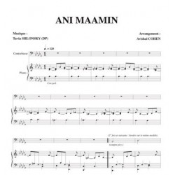 Partition ANI MAAMIN Avishai COHEN