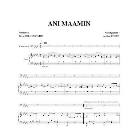 ANI MAAMIN