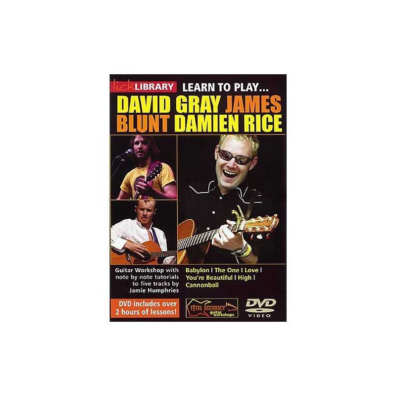 LICK LIBRARY - LEARN TO PLAY GRAY BLUNT RICE (DVD)