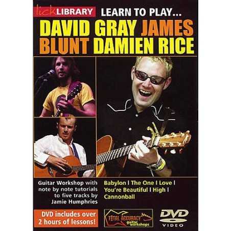 LICK LIBRARY - LEARN TO PLAY GRAY BLUNT RICE (DVD)