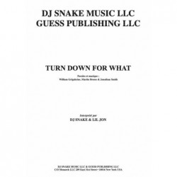 Partition TURN DOWN FOR WHAT DJ Snake & Lil Jon