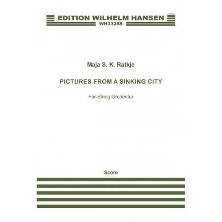 PICTURES FROM A SINKING CITY
