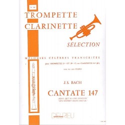 JESUS QUE MA JOIE DEMEURE (CANTATE 147)