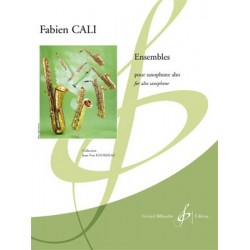 Partition ENSEMBLES Fabien CALI