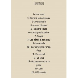 Partition SONG BOOK DIDIER SUSTRAC