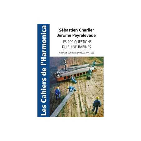 LES 100 QUESTIONS DU RUINE-BABINES