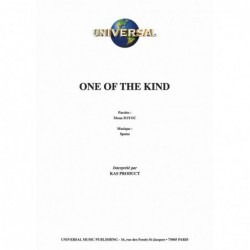 Partition ONE OF THE KIND KaS Product