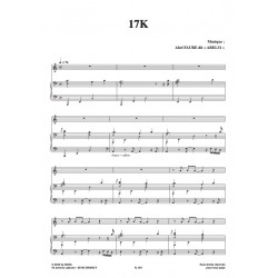 Partition 17K ABEL31