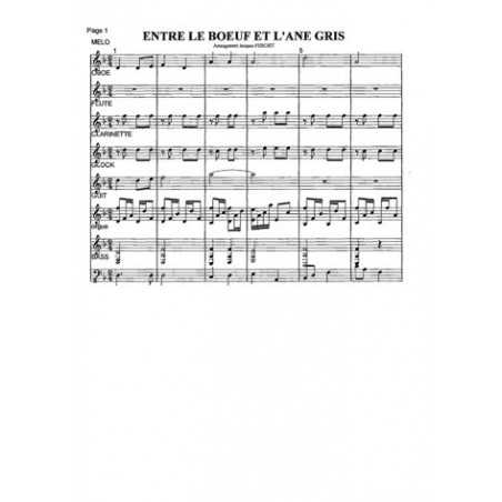 ENTRE LE BOEUF ET L'ANE GRIS
